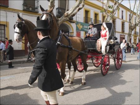 Vista previa 