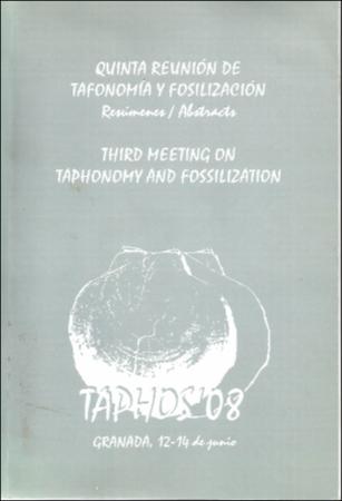 bernaldez_Virgenes_Congreso Taphos_2008.pdf.jp