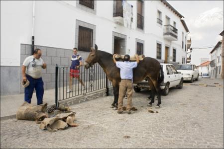 Vista previa 