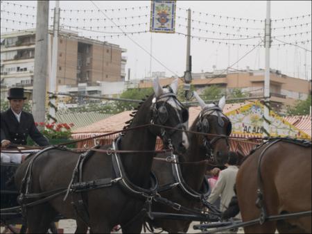 Vista previa 