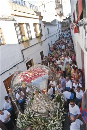 Vista previa 