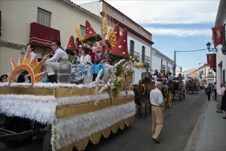 Vista previa 