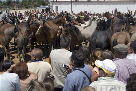 Vista previa 