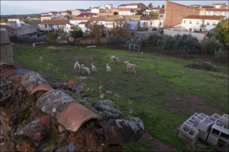 Vista previa 