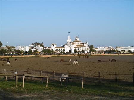 Vista previa 