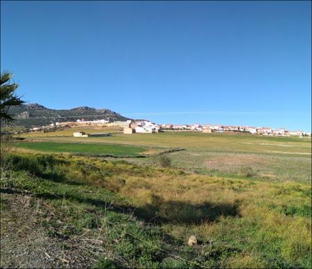 Vista previa 