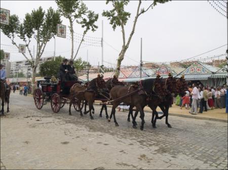 Vista previa 