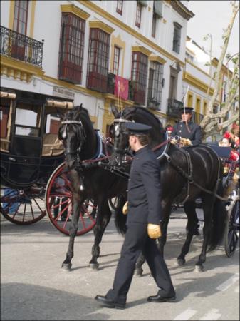 Vista previa 