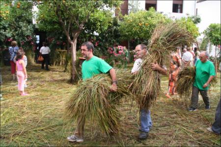 Vista previa 