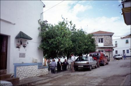 Vista previa 