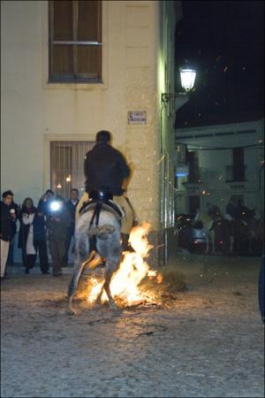 Vista previa 