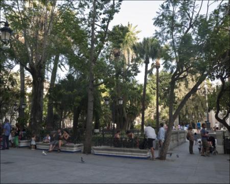 Vista previa 