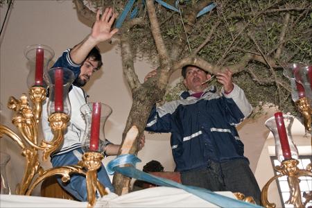 Vista previa 