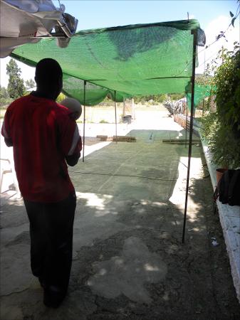 Vista previa 