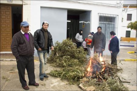 Vista previa 