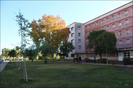 Vista previa 