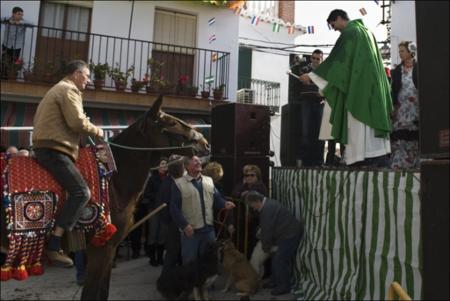 Vista previa 