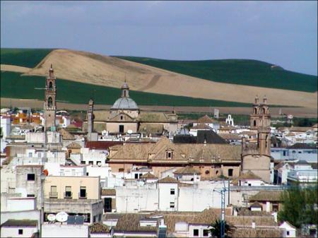 Vista previa 