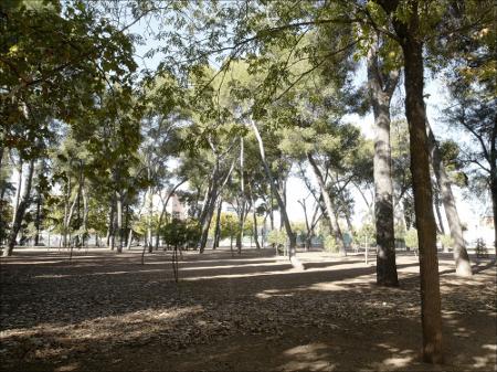 Vista previa 
