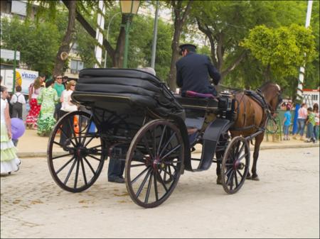Vista previa 