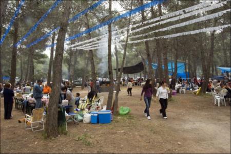 Vista previa 