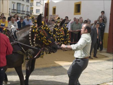 Vista previa 