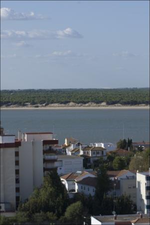Vista previa 