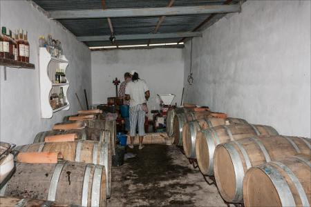Vista previa 