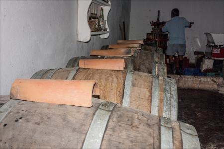 Vista previa 