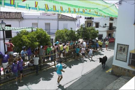 Vista previa 