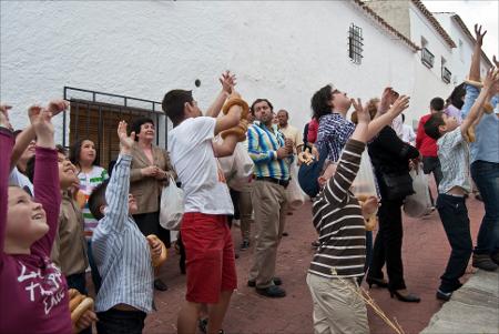 Vista previa 