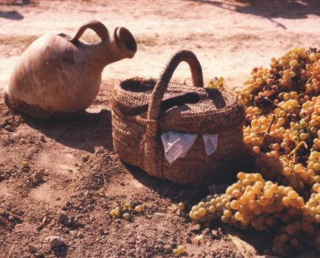 Molinos de harina - láminas.pdf.jp