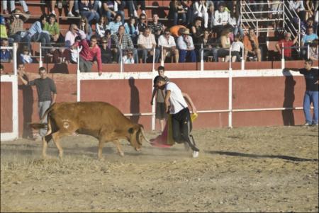 Vista previa 