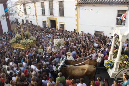 Vista previa 