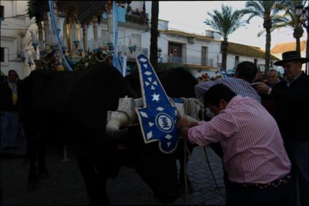 Vista previa 