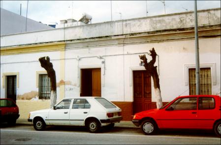 Vista previa 