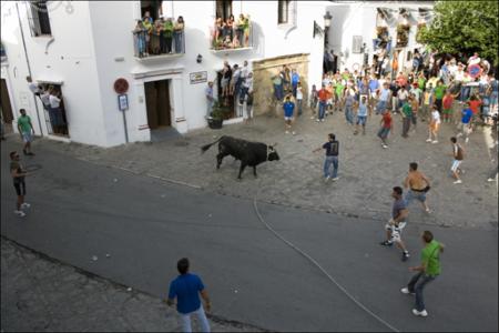 Vista previa 