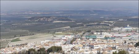Vista previa 