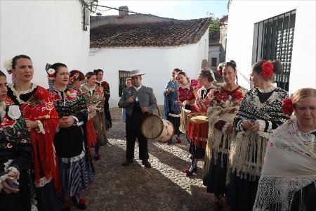 Vista previa 