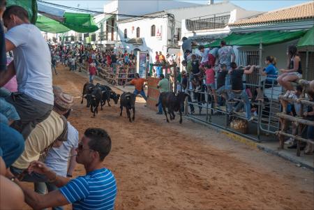 Vista previa 