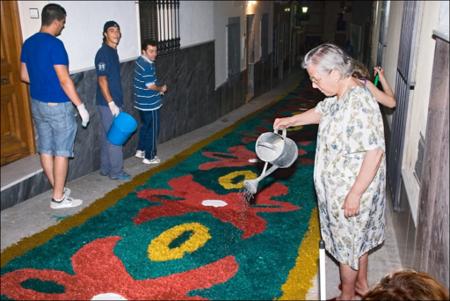 Vista previa 